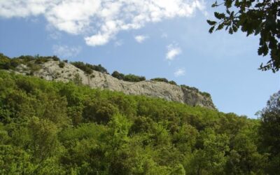 Escalade Fontgarnide Salavas